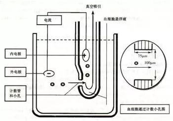 【兆恒機(jī)械】血液分析儀的檢測(cè)原理及臨床應(yīng)用